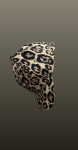 Sapca- animal print