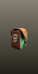 Geanta mica postas- verde/camel multicolora