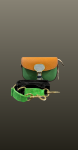 Geanta mica postas- verde/camel multicolora