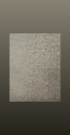 Esarfa tip sal- beige